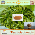 Polyphénols de thé d&#39;extrait de thé vert naturel d&#39;approvisionnement d&#39;usine